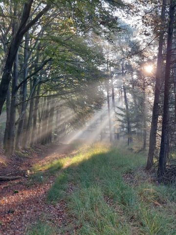 IVN Lentewandeling De Stippelberg