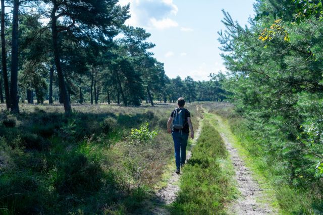 Themacafé: 90 jaar vrienden van 't Gooi