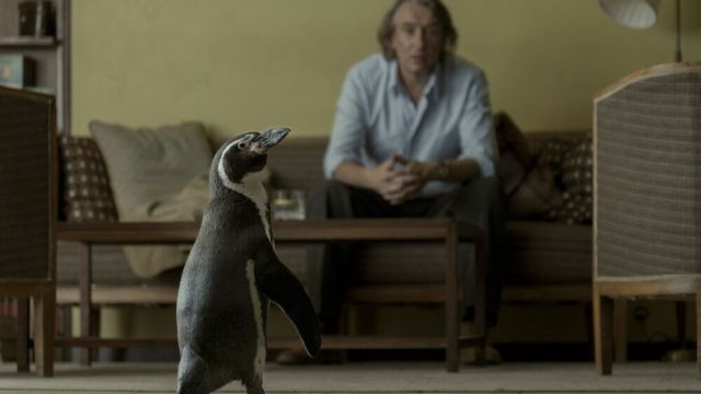 Filmavond: Over een man en de pinguïn die zijn leven verandert