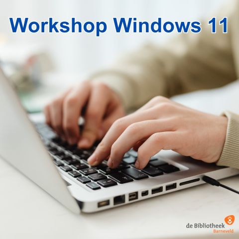 Workshop Windows 11