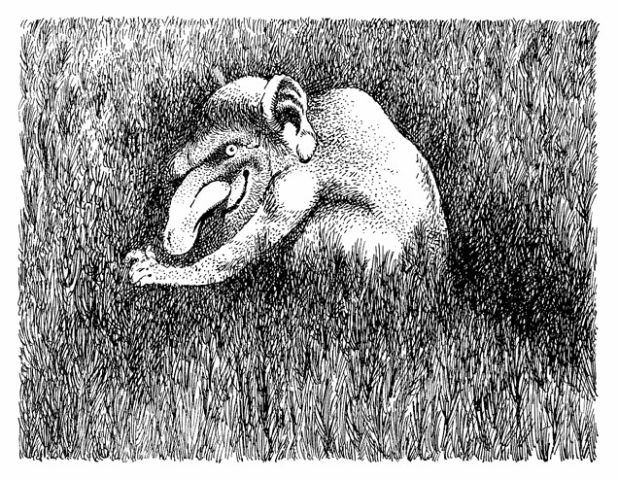 Volksverhalen – lezing door Arjan Sterken