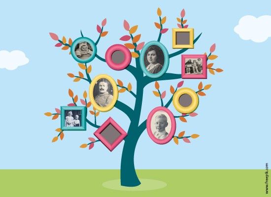 Van start met jouw stamboom