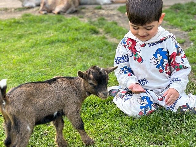 Voorlezen voor kleuters 20-04-2026 15:00