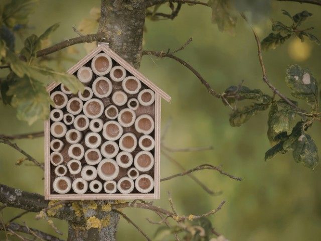 Avontuurtje: Help de bijen! Seed bombs & bijenblikjes maken