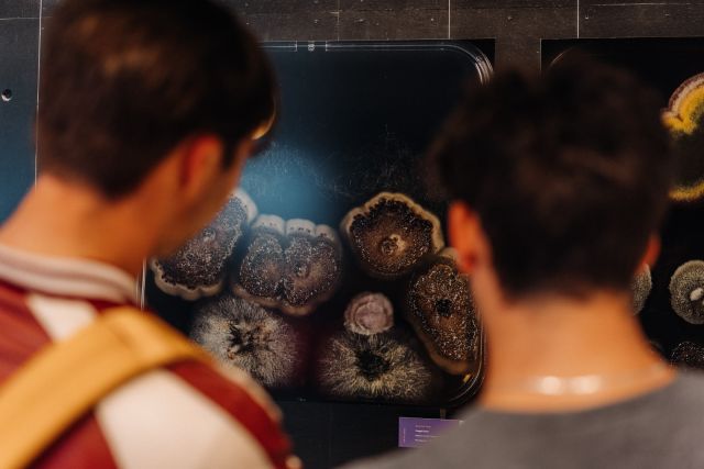 Tentoonstelling: Diversiteit van Leven