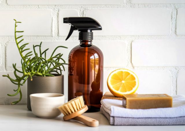 Zero Waste Festival | Zelf schoonmaakproducten maken