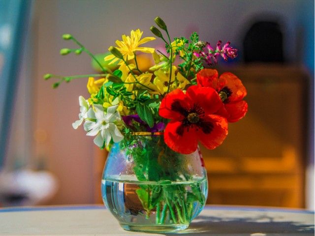 Workshop bloemschikken met Harry Didden