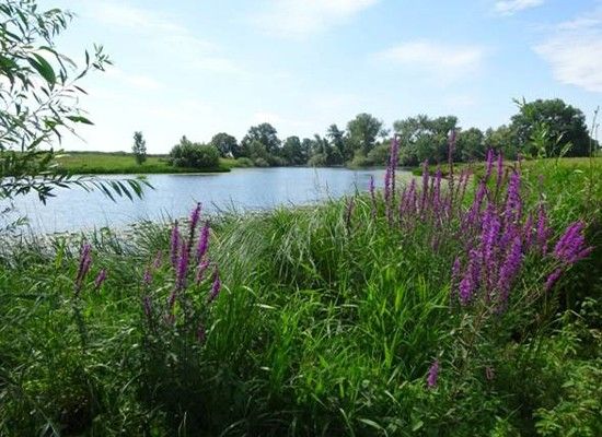 Lezing en wandeling historisch Lith
