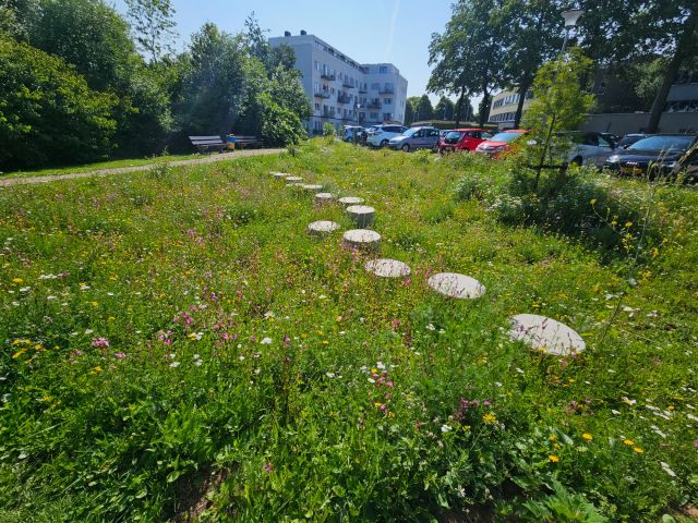 Wateropvang en natuur Limaweg (3).jpg