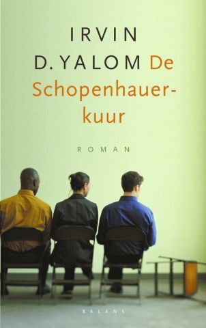 de schopenhauer kuur.jpg