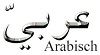 Cursus Arabisch voor gevorderden
