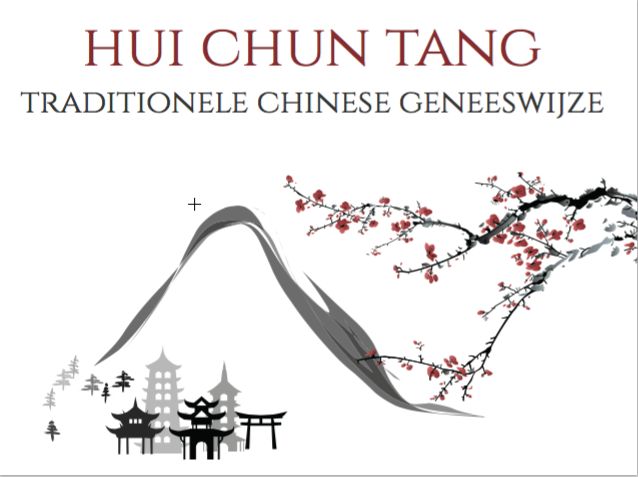 Lezing over Traditionele Chinese Geneeswijze