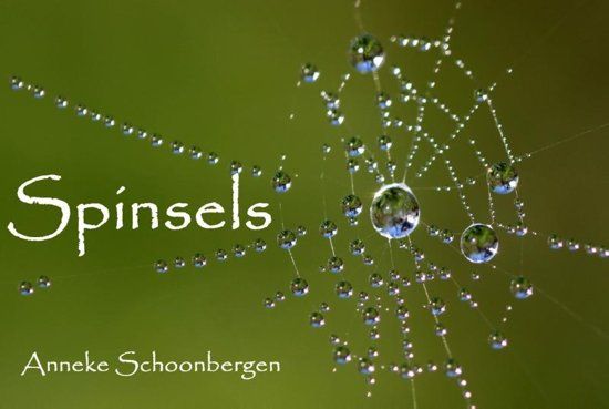 Boekpresentatie Spinsels door Anneke Schoonbergen