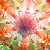 TalentenLab Beverwijk: Workshop caleidoscoop maken met Hemlab