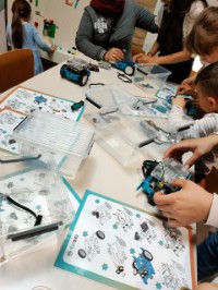 TalentenLab Beverwijk: Workshop LEGO Fantasievogel met Tektokids