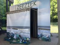 Foto Zeeziek 2.jfif