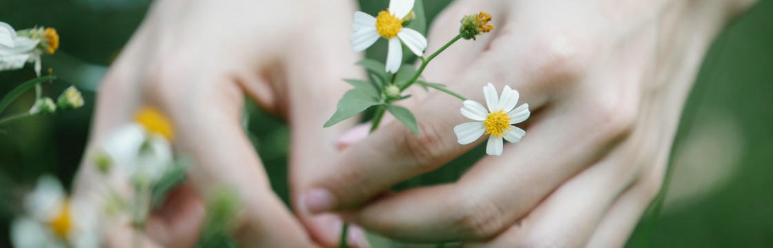 Cursus Kruidengeneeskunde