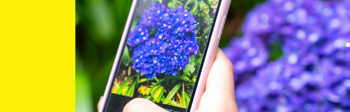 Workshop planten en dieren herkennen met je mobiel