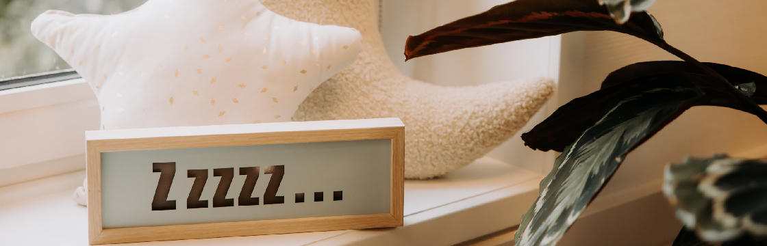 BoekStartochtend 'Peuters en slapen...?!