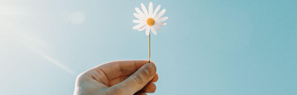 Regie in eigen leven