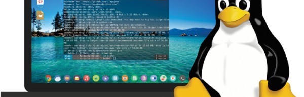 Linux: ontdek het alternatief voor Windows en macOS