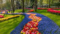 Biebcollege bloemen in de kunst