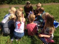 Natuurklas wandelingen