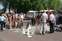 schaken op groot schaakspel.JPG