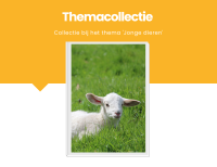 Themacollectie 'Jonge dieren'