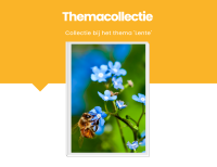 Themacollectie lente