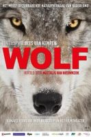 Biebfilm; Wolf (zonder lunch)