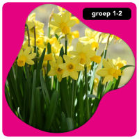 Onderbouw: lente