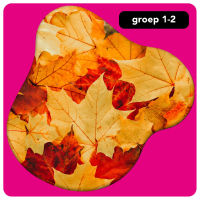 Onderbouw: herfst