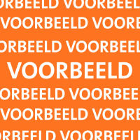 Voorbeeld product