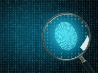 Kunstmatige Intelligentie | Les 28: Slimme detective