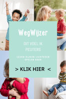 Wegwijzer: Dit voel ik