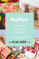 Wegwijzer: Daar komt Sinterklaas