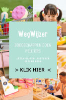 Wegwijzer: Boodschappen doen