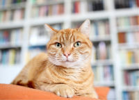 Activiteit op maat in de klas