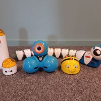 Robots in Dommeldal: Leer, speel, programmeer