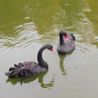 Filosofische workshop: Vrienden en Vriendschap
