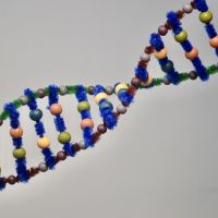 Fantasiedieren knutselen met DNA