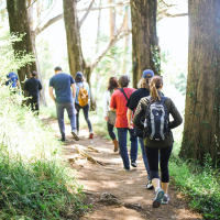 Taalwandeling