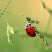 GroenMakers 14-06-2023 15:30
