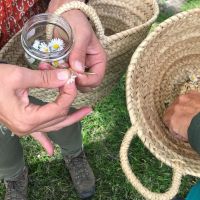 Wildpluksafari Zelf-Op-Pad Tour