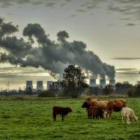 Klifi: Nederlandse klimaatliteratuur