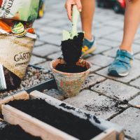 GroenMakers 04-10-2023 15:00