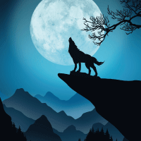 Weerwolven in de Bibliotheek