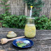 Workshop zuurkool fermenteren