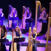 Mini-concert en workshop harp spelen